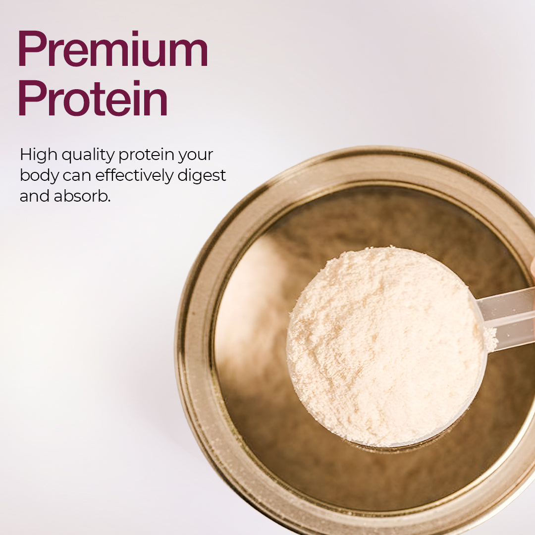 Collagen Chocolate Protein Bar