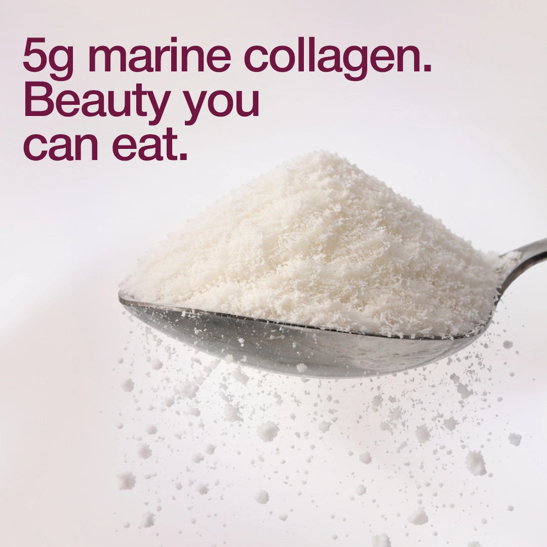 Collagen Chocolate Protein Bar