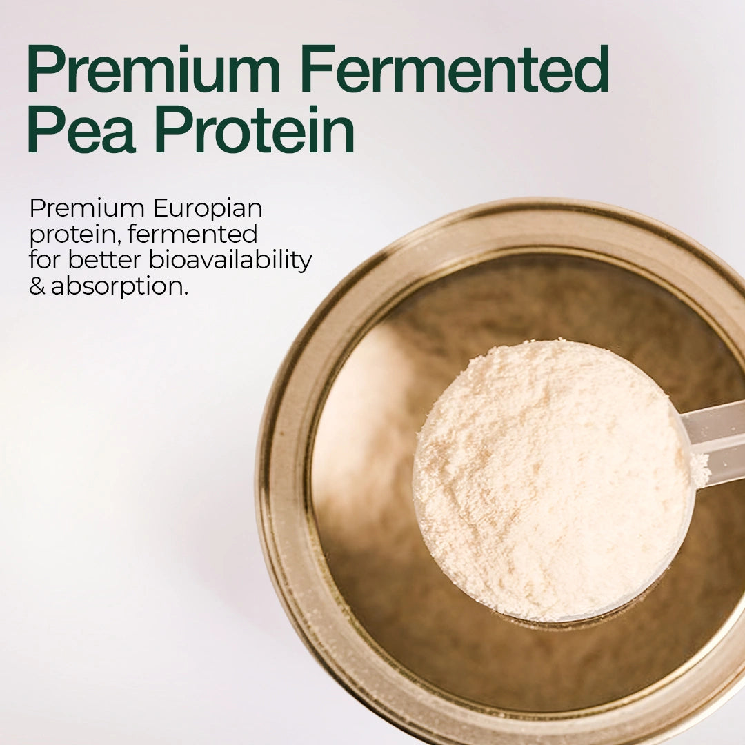 Plant Based Coconut Protein Bar